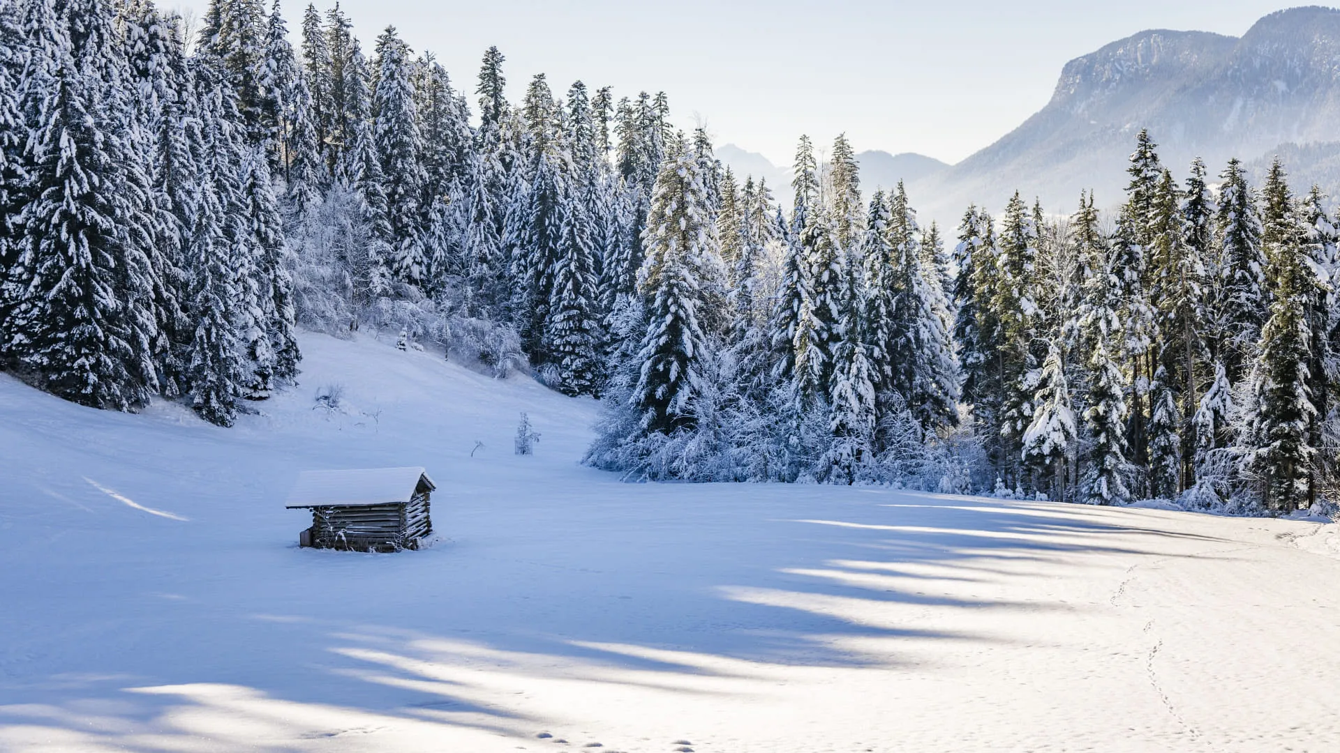 Verschneite Landschaft mit Tannenbäumen und einer kleinen Holzhütte im Winter