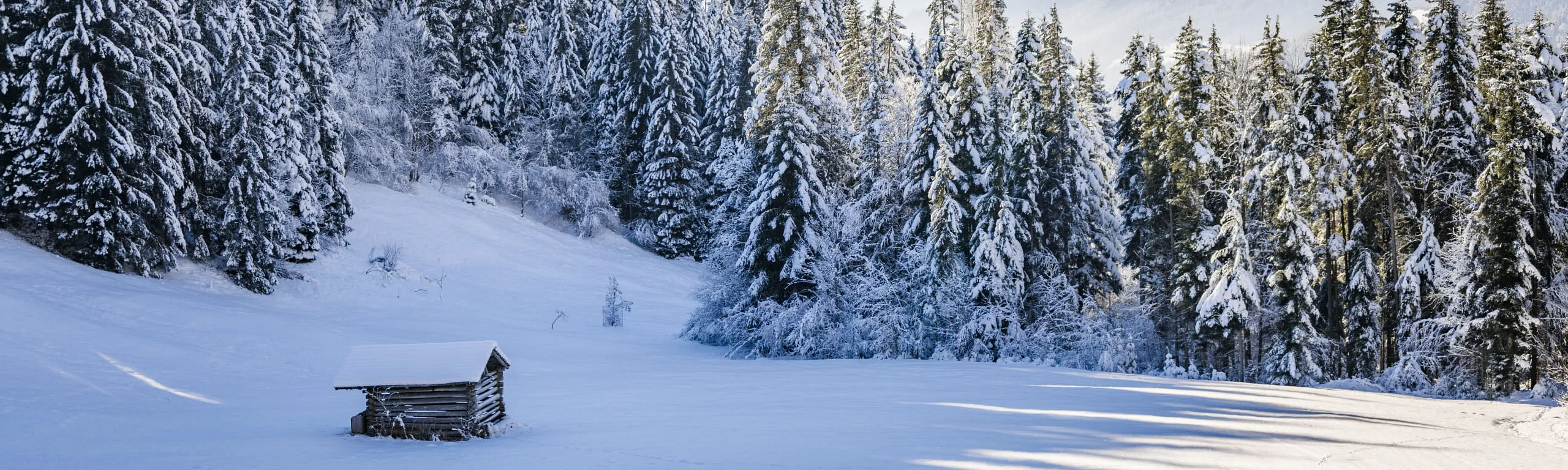 Schneebedeckte Landschaft mit einer kleinen Hütte